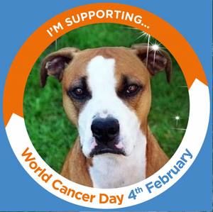 Meet your Posher, Lillian